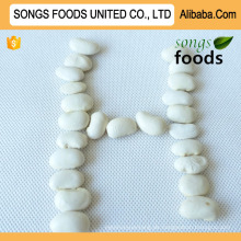 Dalian Export Company verkauft weiße Kidneybohnen von Lagre